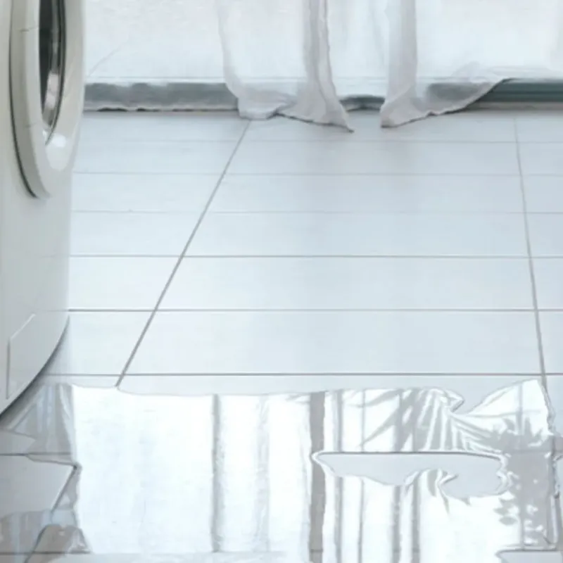 Appliance Leak Cleanup in Robertson County, KY