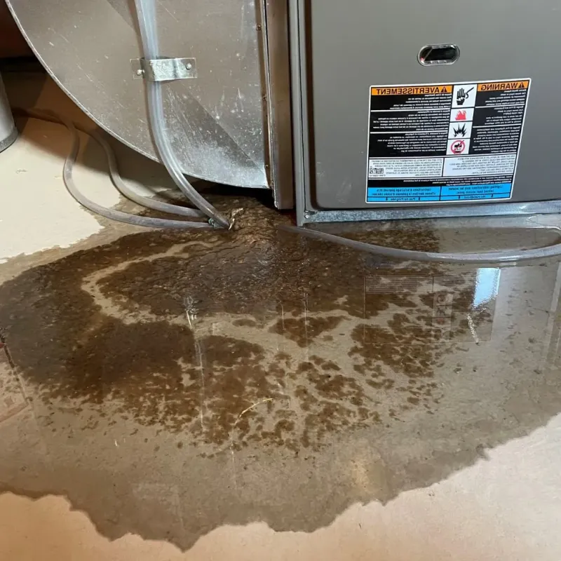 Pipe Burst and Leak Restoration in Robertson County, KY