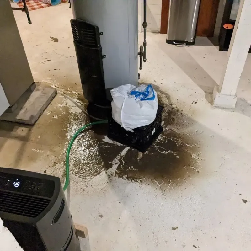Sewage Backup Cleanup Service in Robertson County, KY